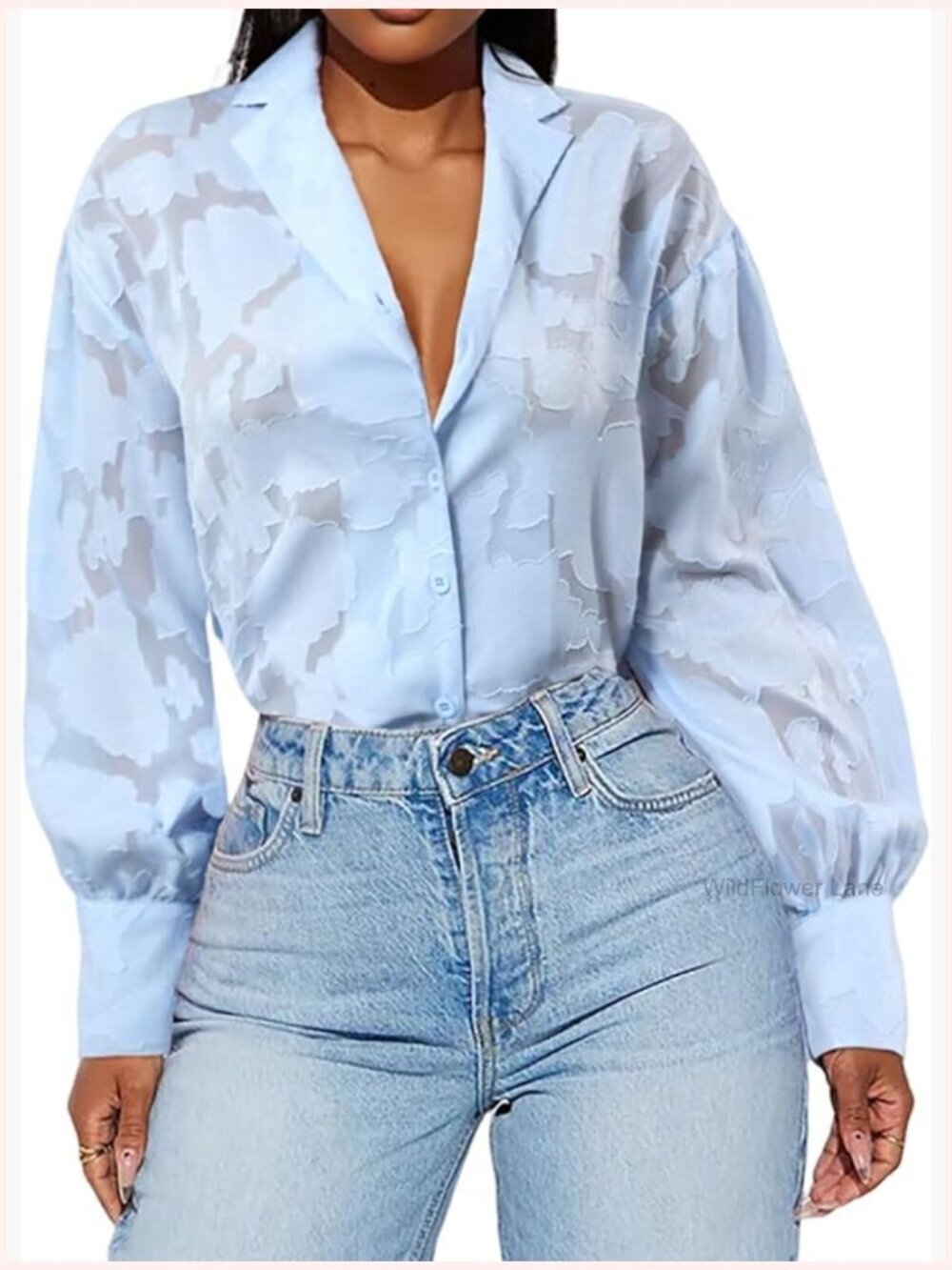 V Neck Long Sleeve Chiffon Blouse See Through Button Down Jacquard Shirt Casual